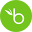 BambooHR