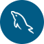 mysql