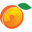 wildapricot