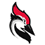 Woodpecker.co